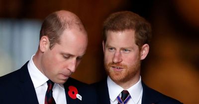 Prince Harry has 'changed public opinion with bombshell claims about William attack'