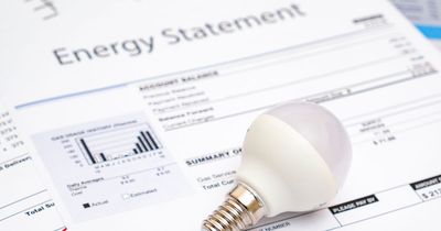 Full list of energy support for customers with British Gas, EDF, E.ON and more