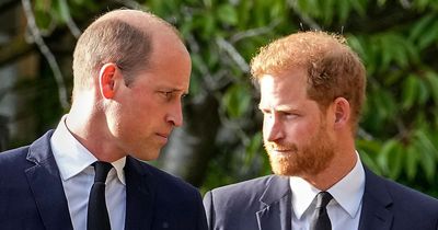 People spot odd coincidence with Harry and William fight as 'Harold' nickname surfaces