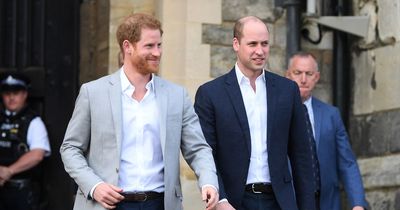 Prince Harry and William's nicknames for each other exposed in bombshell leaked book