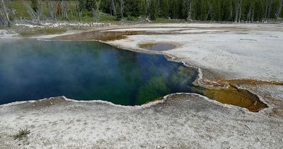 Handwritten poems discovered where human foot was found floating in pool