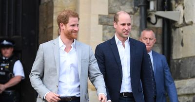 First person Harry made urgent call to after William 'attack' before telling Meghan