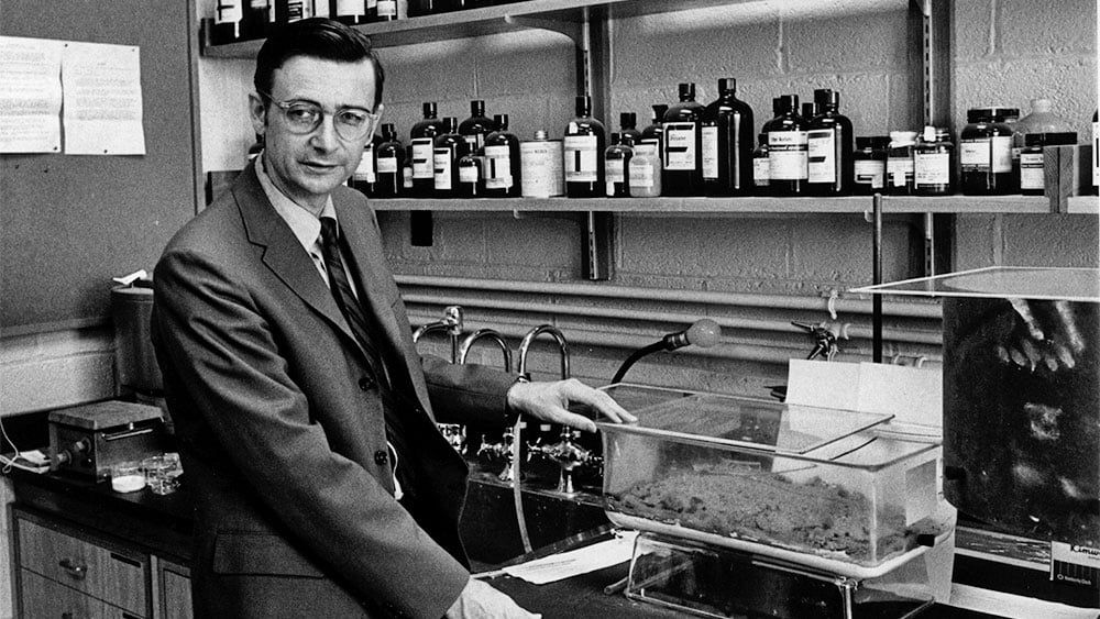 How An Ant Researcher Became A Giant Among Scientists