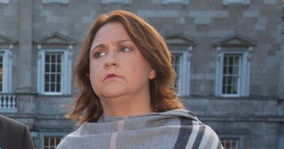 'Bags of cow dung' thrown at TDs in vile attack that left Anne Rabbitte 'concerned for her safety'