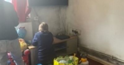 Mum says children's health at risk in mouldy flat from hell where 'mushrooms sprout out of cracks'