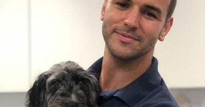 Cocker Spaniel puppy saved by vet after cementing mouth shut by chewing superglue