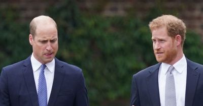 Prince Harry and William 'protective of their wives' amid fight claims, says royal expert