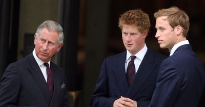 Prince Harry claims King Charles 'did not hug' him when he learned of Diana's death