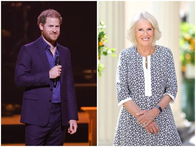‘Close your eyes and you won’t feel it’: Harry compares first meeting Camilla to getting an ‘injection’
