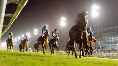 Night racing returns to thrill racegoers after Covid-break
