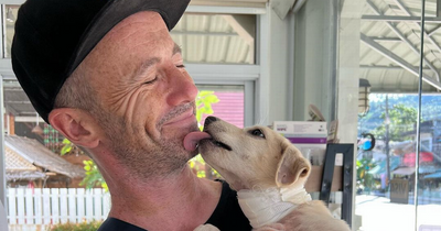 Tyrone native on rescuing dogs in Thailand after nearly ‘drinking himself to death’ following business success