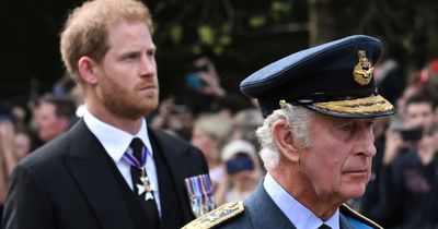 Harry's 'loneliness' as Charles and Will fight proved they 'didn't understand him at all'