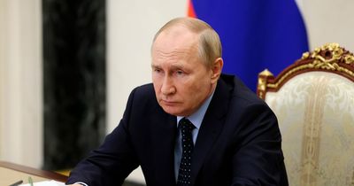 Vladimir Putin orders ceasefire in Ukraine