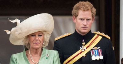 Prince Harry's relationship with Camilla as he admits 'begging' Charles not to marry her