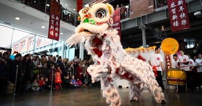 Chinese New Year 2023: The animal that represents your year of birth