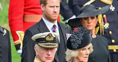 Harry 'asked Charles not to marry Camilla and accused her of leaking' says new book