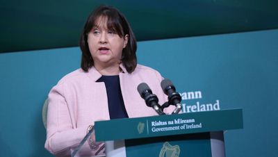 Cow dung incident ‘part of cumulative chipping away at democracy’, says TD