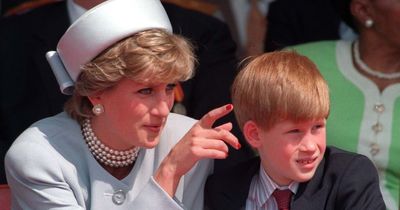 Prince Harry details the moment he was told mum Diana had been in car crash