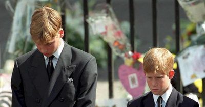 Prince Harry kept 'eye on' William for strength as they walked behind Diana's coffin