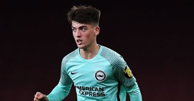 Brighton star tips another Irish teenager to follow in footsteps of Evan Ferguson