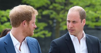 Prince William may be forced to 'hit back' at Harry's 'attack' claims, says expert