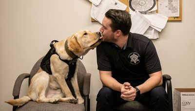 New K-9 for Cook County Sheriff’s Office has a nose for electronics, crime