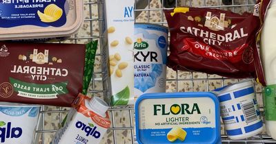 I compared the prices of basic items to their vegan alternatives, the result was surprising