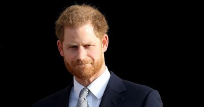 'All Harry wants is to lay bare royal hypocrisy and for people to know he's not the problem'