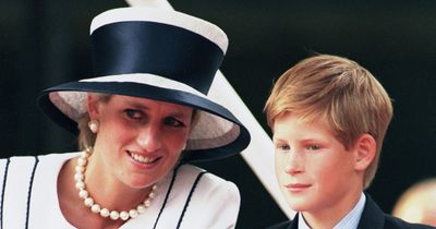 Prince Harry received birthday present from mum Diana weeks after her tragic death