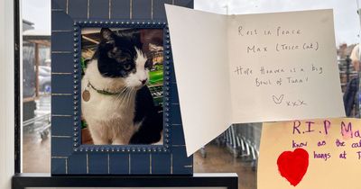 Shoppers heartbroken after 'Tesco cat' Max dies as MP joins calls for memorial outside supermarket
