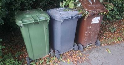 People working from home blamed for missed Leeds bin collections