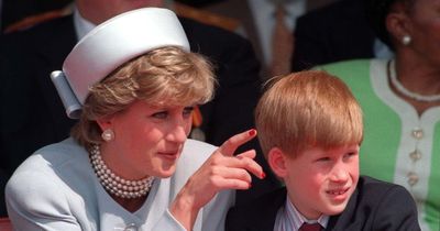 Prince Harry claims dad Charles 'did not hug him' when he found out Diana died