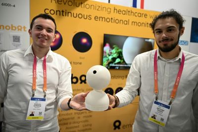 From tracking moods to putting on a show, it's AI-everything at CES