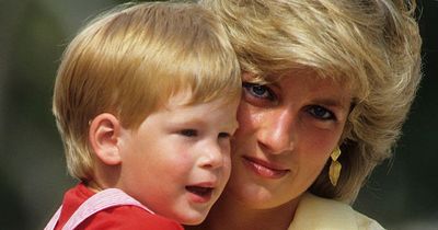 Prince Harry used psychic to reach Diana and says woman with 'powers' relayed message
