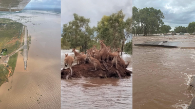 ‘There Are Language Barriers’: Indigenous Communities Hit By WA Floods Need Food Communication