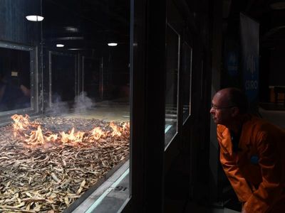 Grass fires still a risk despite floods