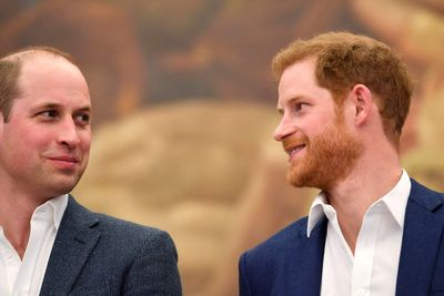 Harry was left with ‘scrapes and bruises’ after William’s alleged assault on him
