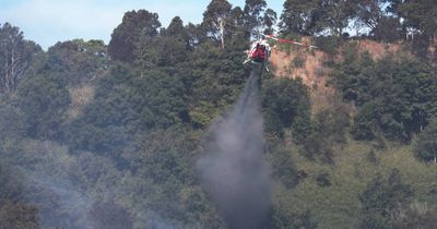 Fire chief warns of deadly grassfire threat in the wake of historic NSW flooding