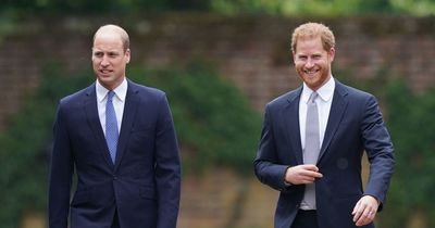 William 'grabbed Harry by the collar and threw him to the ground' in alleged assault