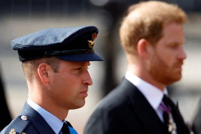 Prince Harry saw ‘the red mist’ in brother William during alleged physical confrontation