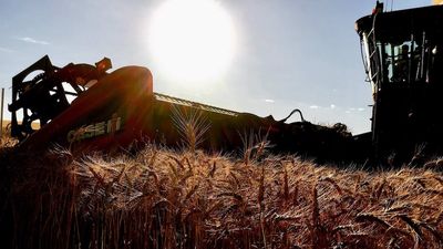 CBH breaks receival records, with millions of tonnes to come as WA grain growers top last year's harvest