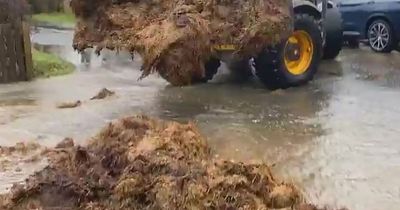 Dumfries and Galloway farm worker "saves his house from flooding" by building wall of animal dung