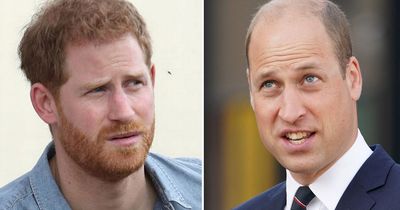Prince William 'furious' over Harry's book and could ban him from coronation, says expert