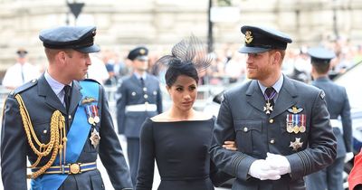 Prince William warned Harry not to propose to Meghan Markle as they were going 'too fast'