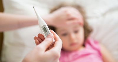 151 deaths from Strep A in England so far this winter, health chiefs confirm
