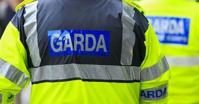 Gardai make arrest after business robbed and staff threatened with a gun in Greystones