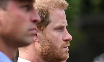 Prince Harry saw ‘red mist’ in William during brother’s alleged attack