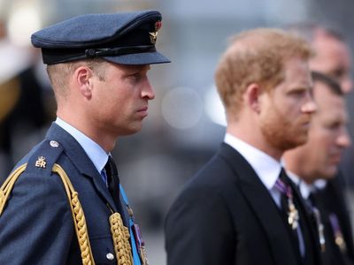 Prince Harry claims Prince William warned him not to propose to Meghan Markle