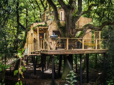 Woodsman's Treehouse review: Glamping in style in the Dorset woods