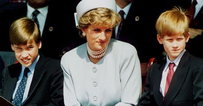 Prince Harry says mum Diana would be heartbroken about his broken bond with William